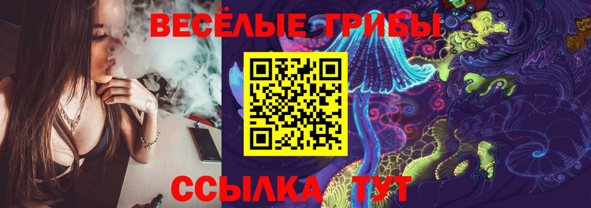 Псилоцибиновые грибы Psilocybe  Вход с VPN  Карачаевск 